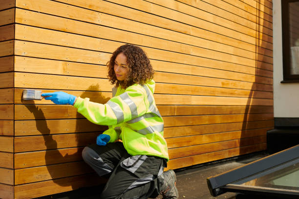 Best Stone Veneer Siding  in Park City, KS